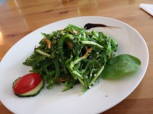 zeewier salad at Loving Hut in Amsterdam