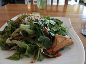 salad at Loving Hut in Amsterdam