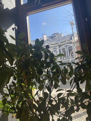   at Holy Donut in Kaunas