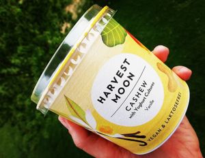 Harvest Moon cashew yoghurt at Mama Terra in Kamnik