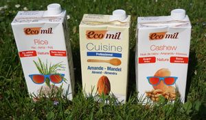 Ecomil mylk and cooking cream at Mama Terra in Kamnik
