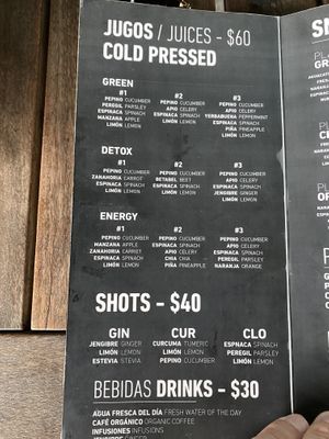 Menu at Playa Detox in Puerto Vallarta