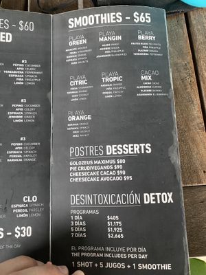 Menu at Playa Detox in Puerto Vallarta