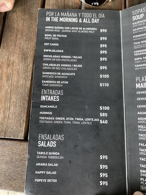 Menu at Playa Detox in Puerto Vallarta
