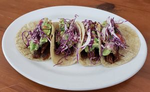  at Playa Detox in Puerto Vallarta