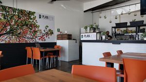  at Playa Detox in Puerto Vallarta