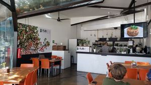  at Playa Detox in Puerto Vallarta