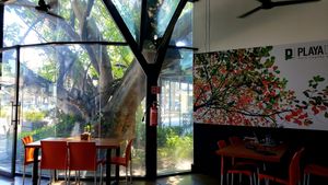  at Playa Detox in Puerto Vallarta