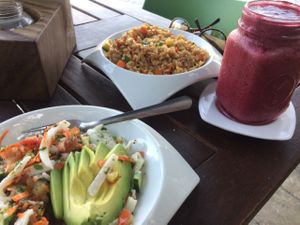 coconut ceviche, brown rice stir fry, banana berry mint smoothie  at Playa Detox in Puerto Vallarta