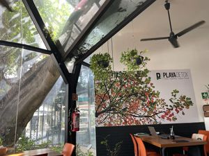 Light airy interior with air conditioning. Tree that is around 150 years old is built into the architecture and design.  at Playa Detox in Puerto Vallarta