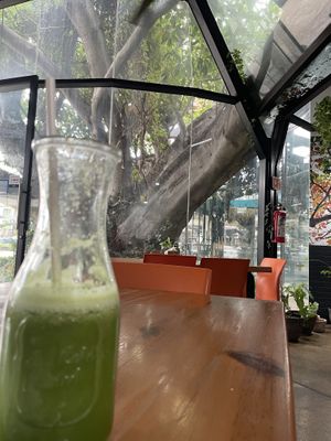 Energy drink #2 with chia- savoury yum!  at Playa Detox in Puerto Vallarta