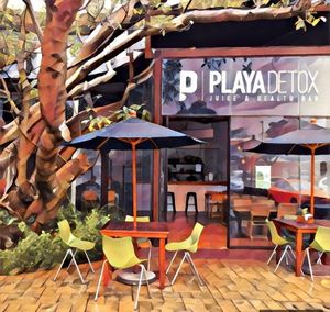  at Playa Detox in Puerto Vallarta