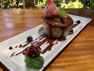  at Playa Detox in Puerto Vallarta