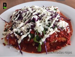  at Playa Detox in Puerto Vallarta