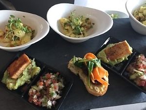  at Playa Detox in Puerto Vallarta