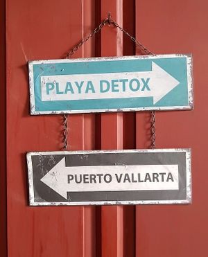  at Playa Detox in Puerto Vallarta