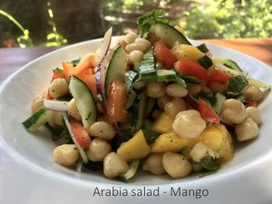  at Playa Detox in Puerto Vallarta