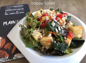  at Playa Detox in Puerto Vallarta