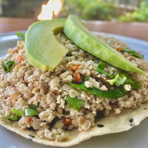  at Playa Detox in Puerto Vallarta