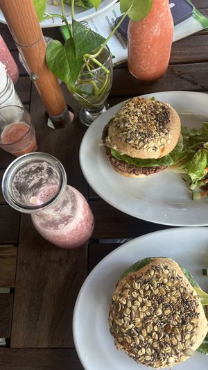   at Playa Detox in Puerto Vallarta