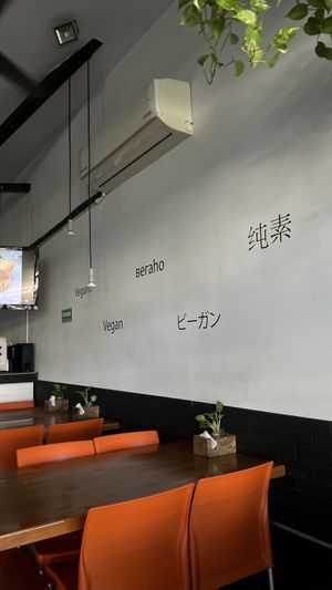   at Playa Detox in Puerto Vallarta