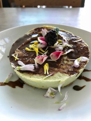 Avocado Cheesecake at Playa Detox in Puerto Vallarta