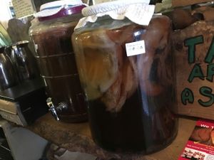 kombucha at Vantra Vitao in London