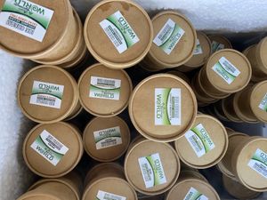 Vegan coconut ice cream at Natural Efe Macrobiotic World in Phuket