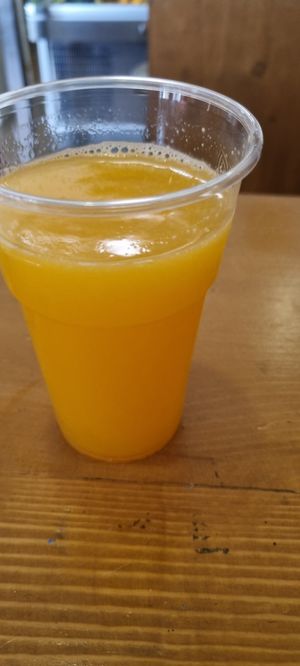 Panchamrita orange, lemon, ginger at Vega Food in Rome