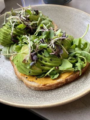 Avocado toast   at Hot Stacks Cafe in Myrtle Beach