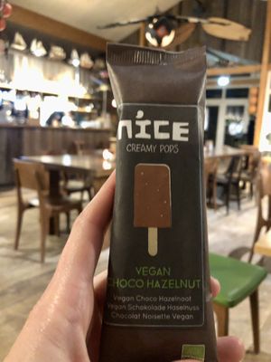   at Paal 9 in Den Hoorn Texel