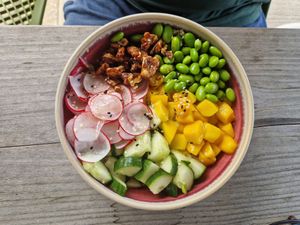 Bowl at Paal 9 in Den Hoorn Texel
