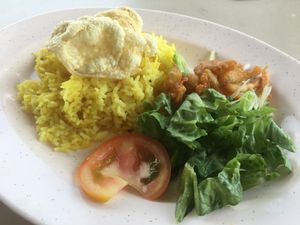 Nasi Briyani at Su Shi Jia Xiang Wei 素食家乡味 in Central Singapore