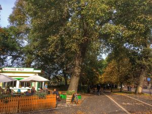 The Loving Hut, The Level, Brighton at Loving Hut Cafe - St Peter's Place in Brighton