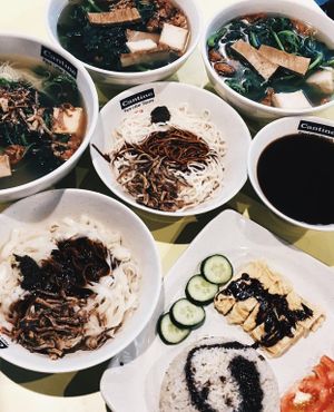 Noodles and rice at Xuan Miao Veggie Food 炫妙 - PLQ Mall in Central Singapore
