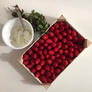 greek yogurt and strawberries,
sometime the simplest desserts are the best at Mama Tierra in Athens