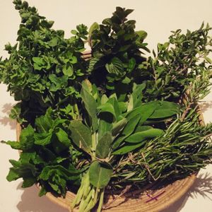 hand picked herbs from the mountains around Athens, smells of Greece! at Mama Tierra in Athens