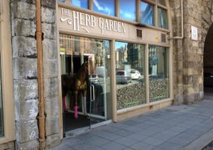 Outside  at The Herb Garden in Newcastle Upon Tyne