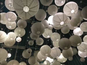 Ceiling  at The Herb Garden in Newcastle Upon Tyne