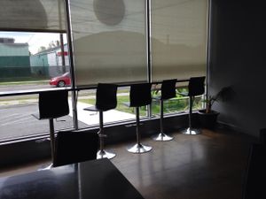 Searing by window at Cafe Pine in Burlington