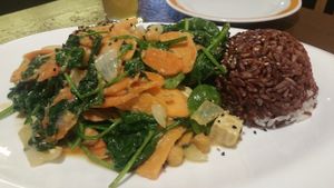 Rice and vegetables  at Velvet Leaf in Berlin