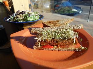 burger at Helio Terra Vegan Cafe in Cleveland