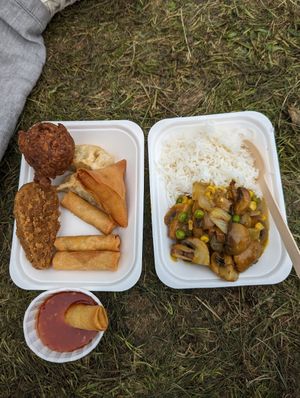 Vegan selection and Mushroom Curry with Rice at Anna Loka in Cardiff
