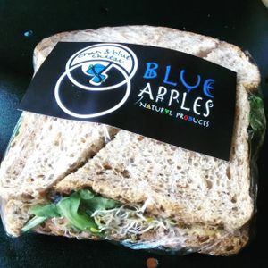 Sammie at Blue Apples in Halifax