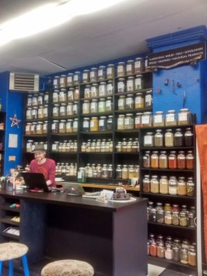 Herbs at Blue Apples in Halifax