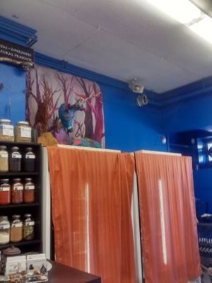 Hi at Blue Apples in Halifax