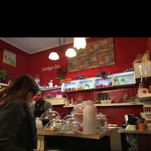 bar at Centrifuga in Bologna