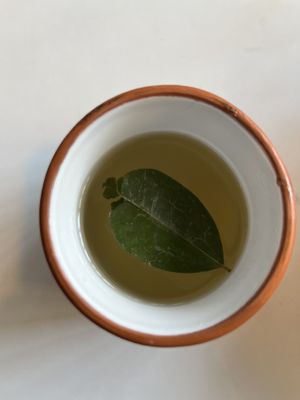 Mate de coca  at El Jardín de Jazmín in Lima