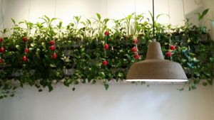 inside at Zyzna in Wroclaw