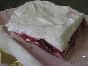 Fruity meringue slice at NomNom Vegan Bakery in Vienna